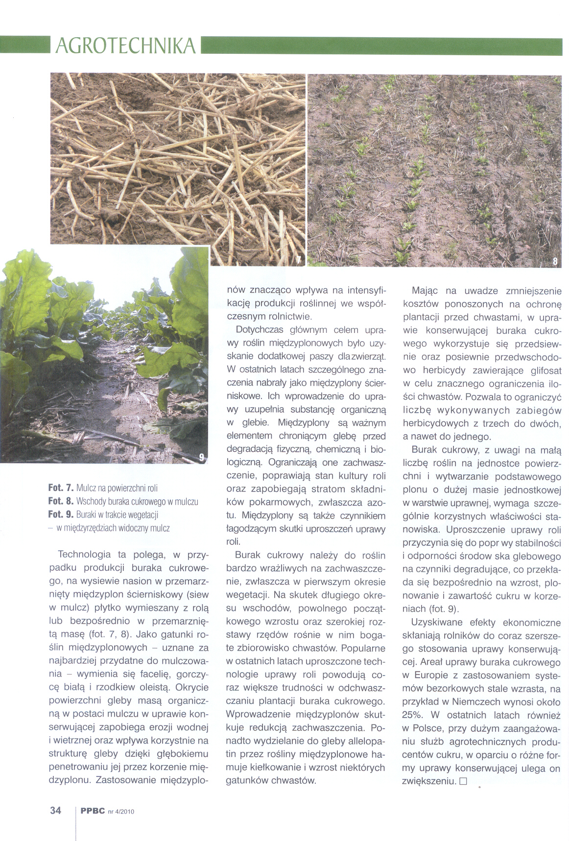 Uprawa konserwująca str.3 - 10.2010r